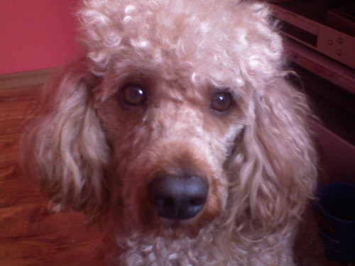 MoJ MikUs :**:*::**:*::**