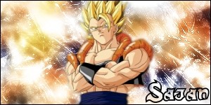 sygna 2