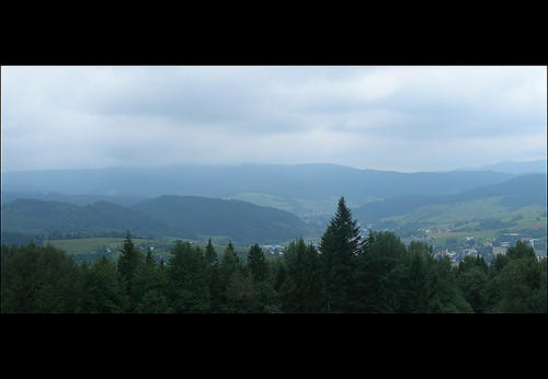 Krynica