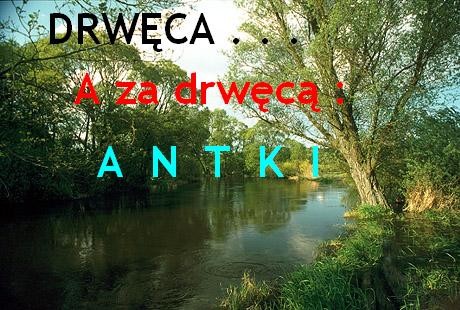Drweca . . . 