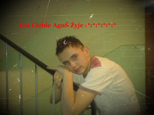 Wpis pogrom