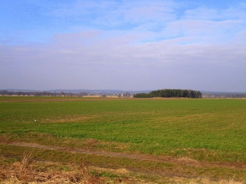 Wpis dorka1403