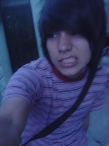 septum x)