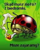 palimy zioo