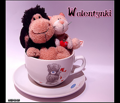 WaLeNtYnKi :*
