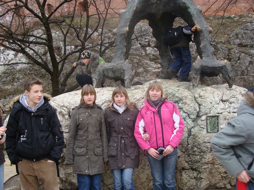 Wpis roztrzepana95
