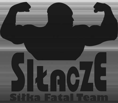 Logo siki