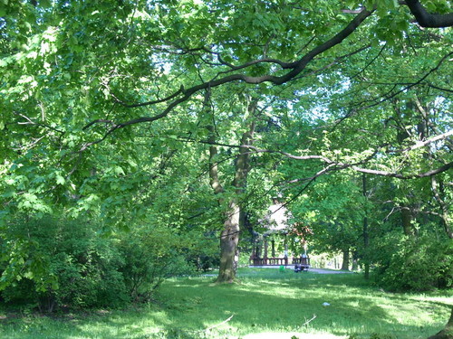 Parki - Park rdliska II (3)