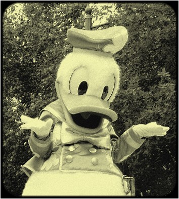 Kaczor D.
