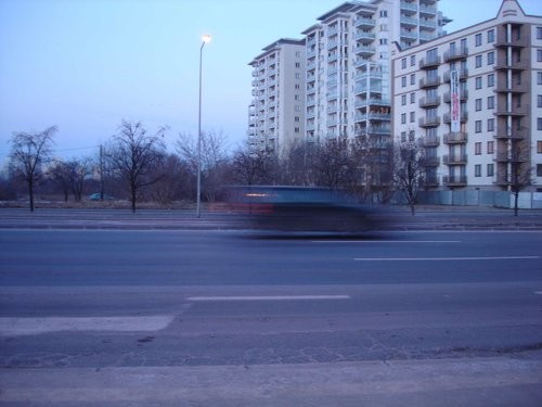 7.33 am
