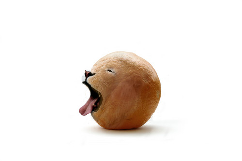 live orange