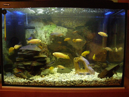 Wpis swiatus86