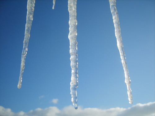 Wpis frozenlady