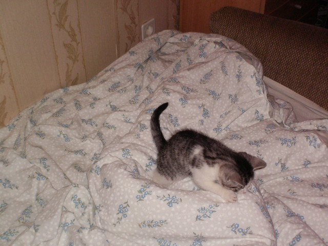 Moj ty . 