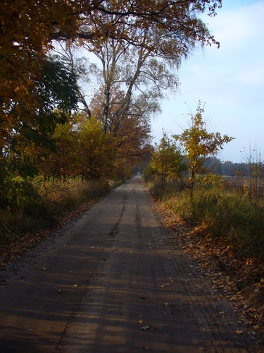 Wpis kochamkoniki