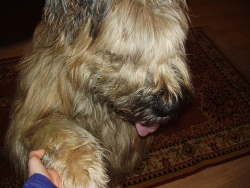 Tresura:))