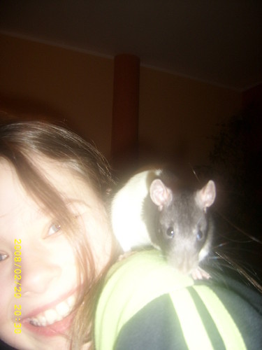 rufi i ja