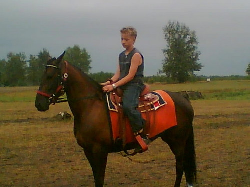Wpis mateusz55555555