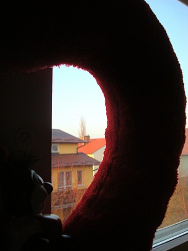 Wpis pannarefleksyjna