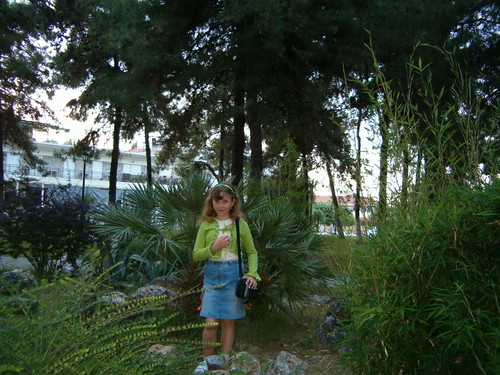 Grecja kolo Palm