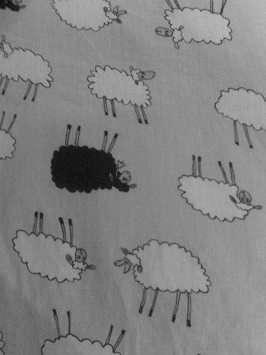 emo owce?