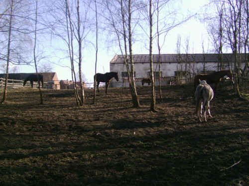 Wpis stala6