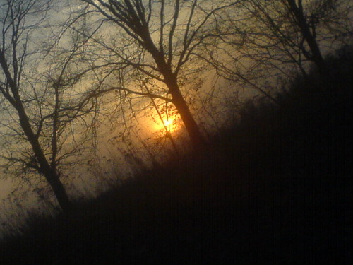 Widok.