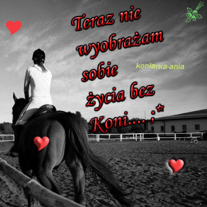 Wpis koniara17