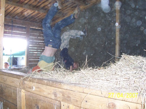 oto ja we wasnej osobie