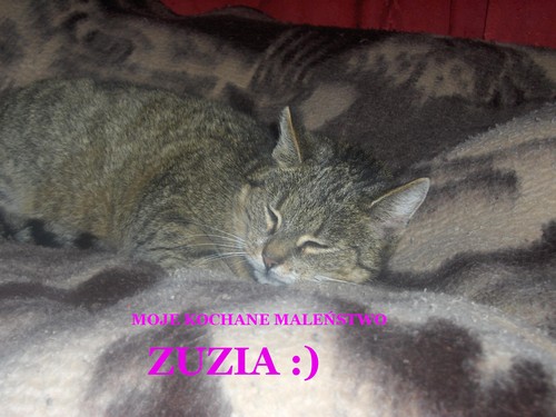 moje kochane kocitko...:))