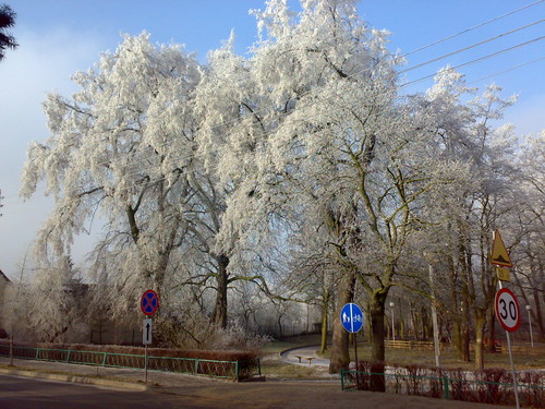 Nasz Janowiecki Park :)