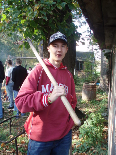 widy