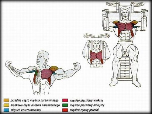 Wpis strongcreatine
