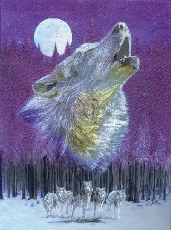 Wolf