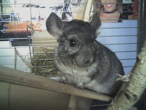 Stefcioo:D