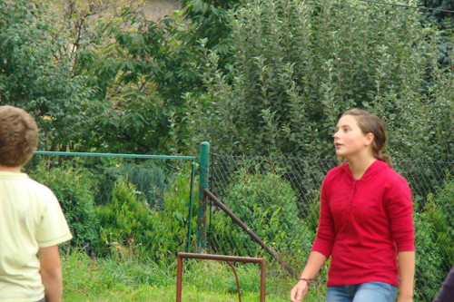 Wpis kamyczek13