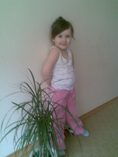 Wpis wiktosia1