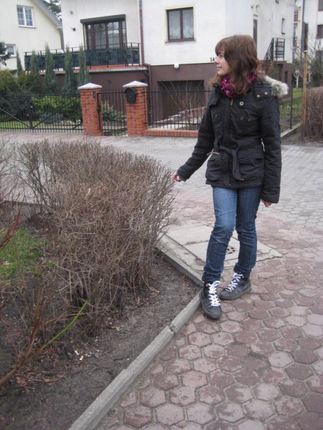 Wpis wiwciowatworczosc