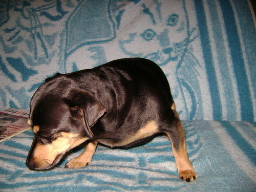 Powracam... =]