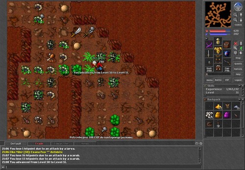 RL Tibia