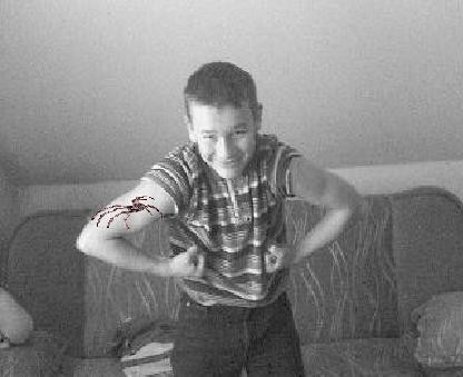 Wpis tomecek12