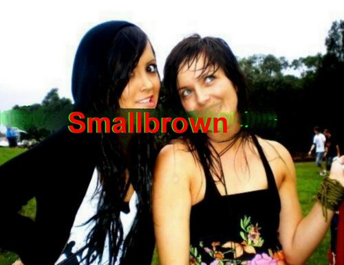 Wpis smallbrown