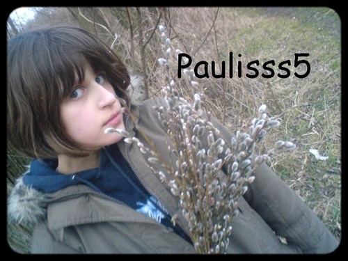 Wpis purpleflower13