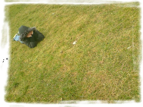 Bobi. < 33. kocH. ; *