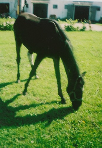 Bijou...