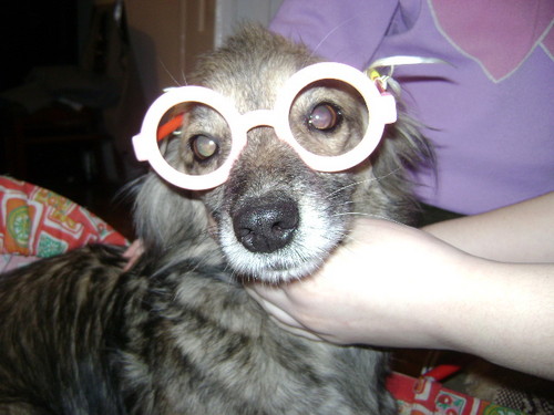 Pieskie ycie..........