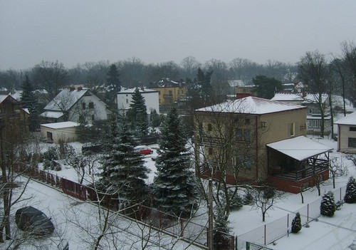 widok