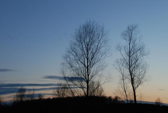 Landscape - Mylcinek