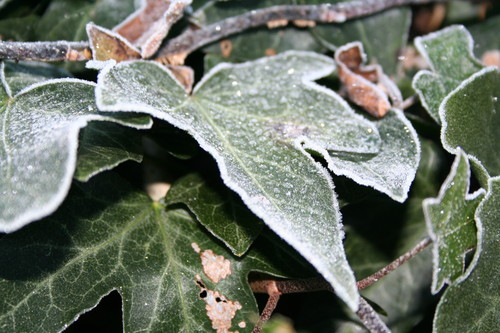 bRrrRrR 