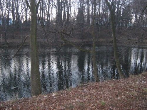 park. 